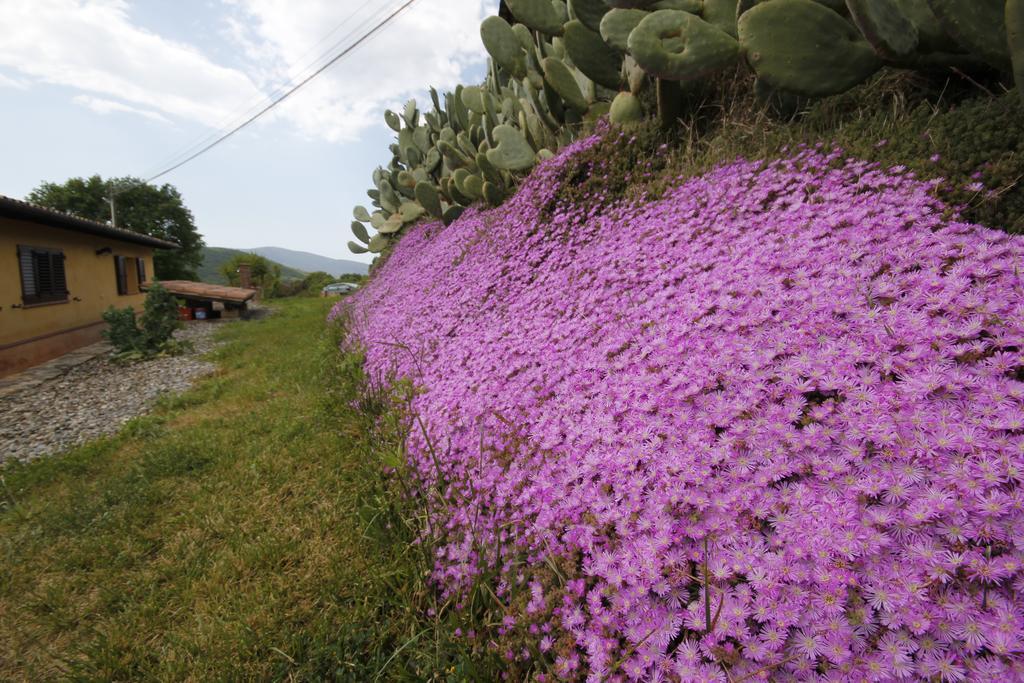 Agriturismo Cupido มอนเตียโน ห้อง รูปภาพ
