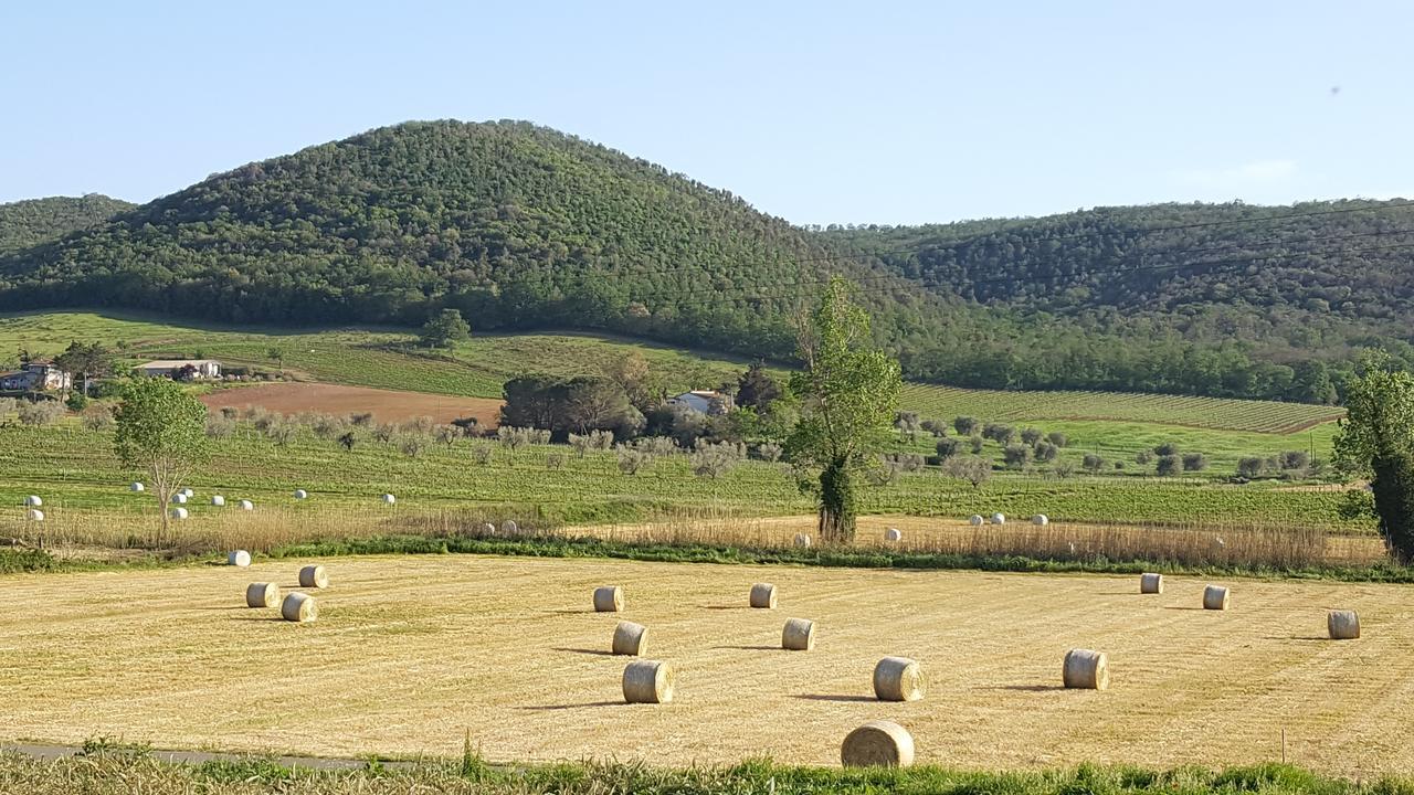 Agriturismo Cupido มอนเตียโน ภายนอก รูปภาพ